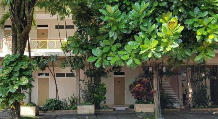 Hotel Sulawesi Jembel Exterior foto